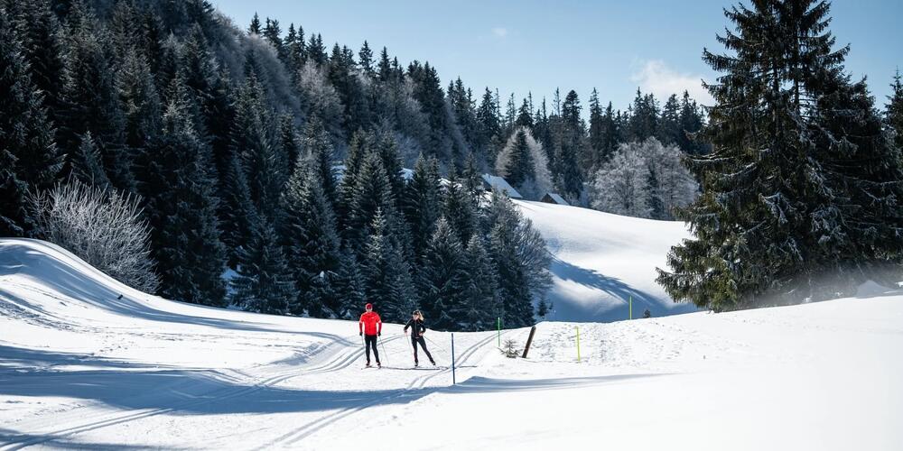 Webcam Savoie Grand Revard