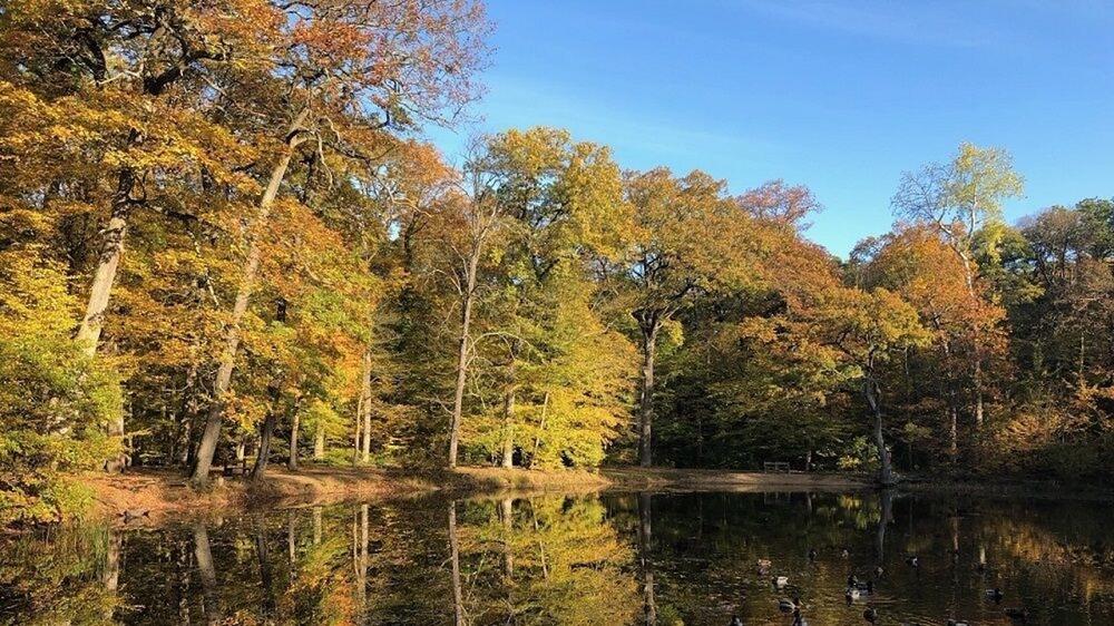 Plus belles randonnées autour de Paris