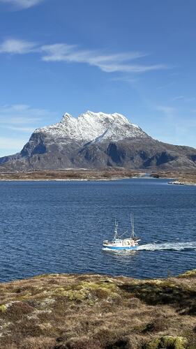 Dønnamannen koser seg i aprilsola. (Foto: Tone Evelyn Hansen)