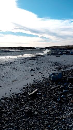 Fint i fjæra ved Tennvalen. (Foto: Kristin Grande)