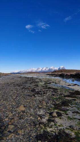 Fint i fjæra. (Foto: Kristin Grande)