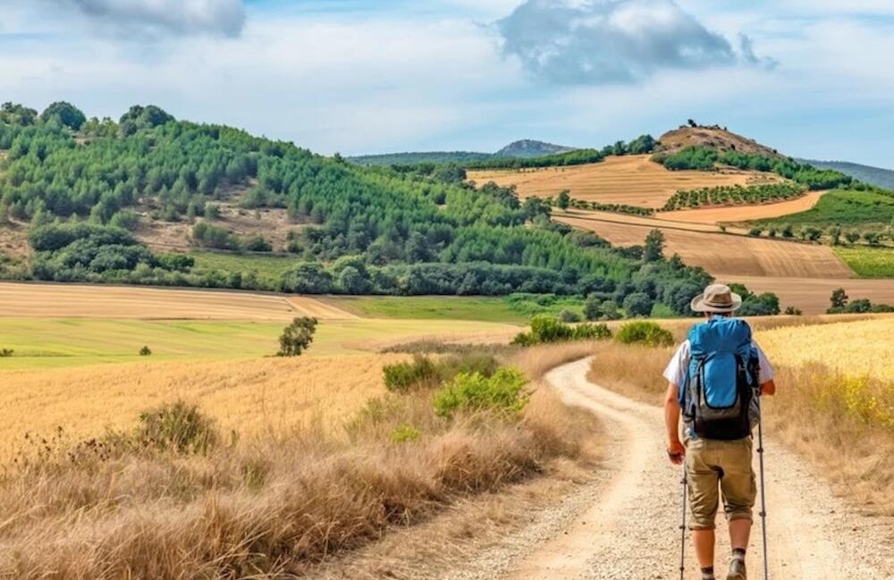 Plus belles randonnées en cote d