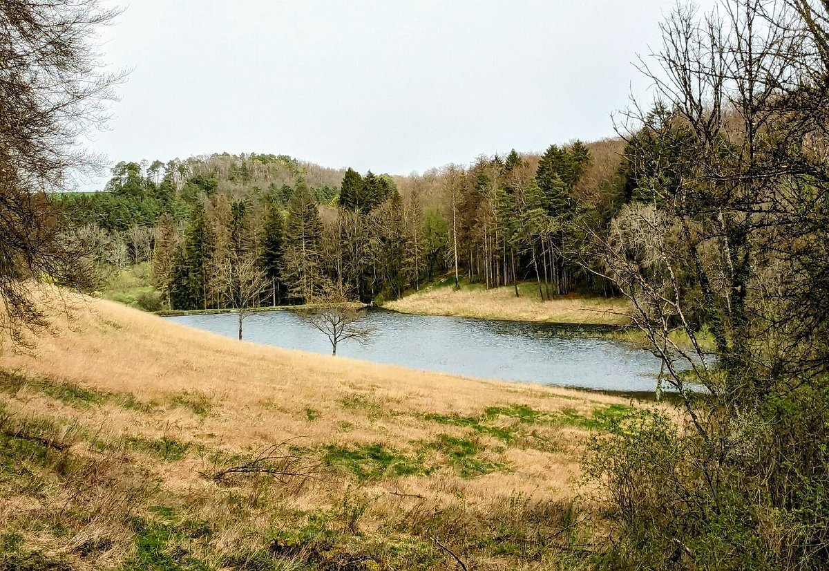 Source de la Seine.jpg