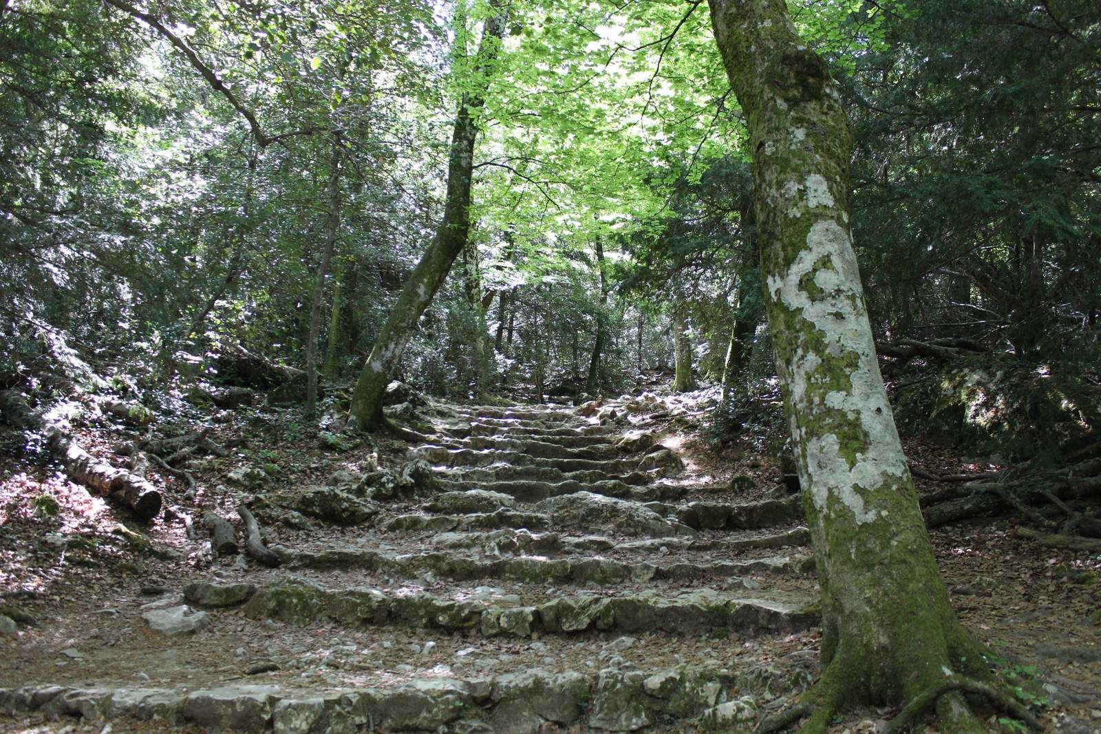 massif sainte baume.jpg
