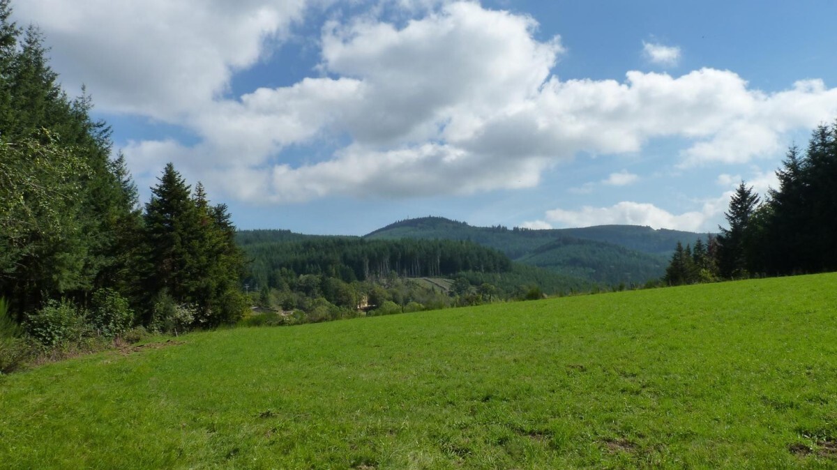 MONT SAINT RIGAUD.jpg