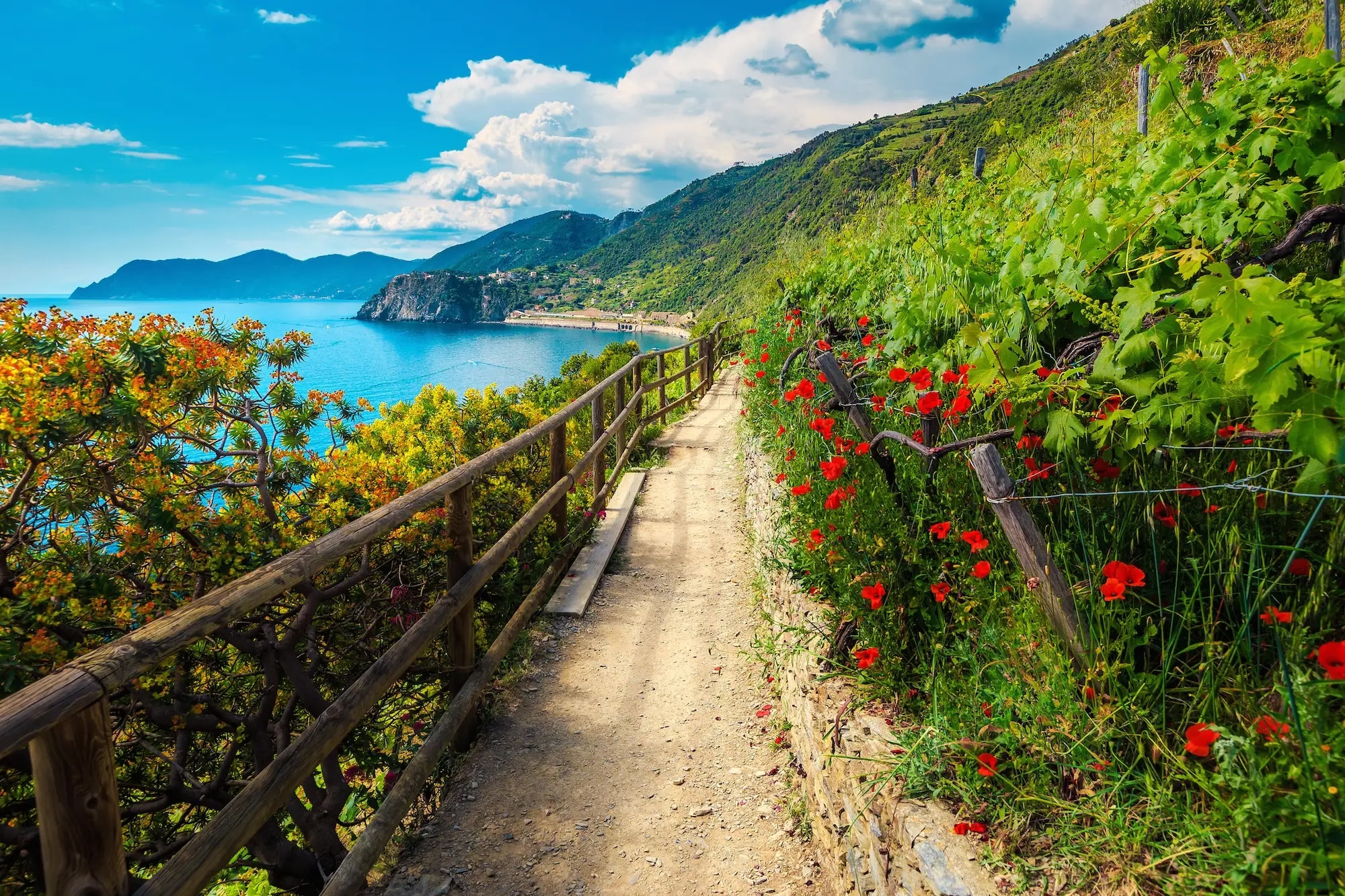 cinque terre.jpg