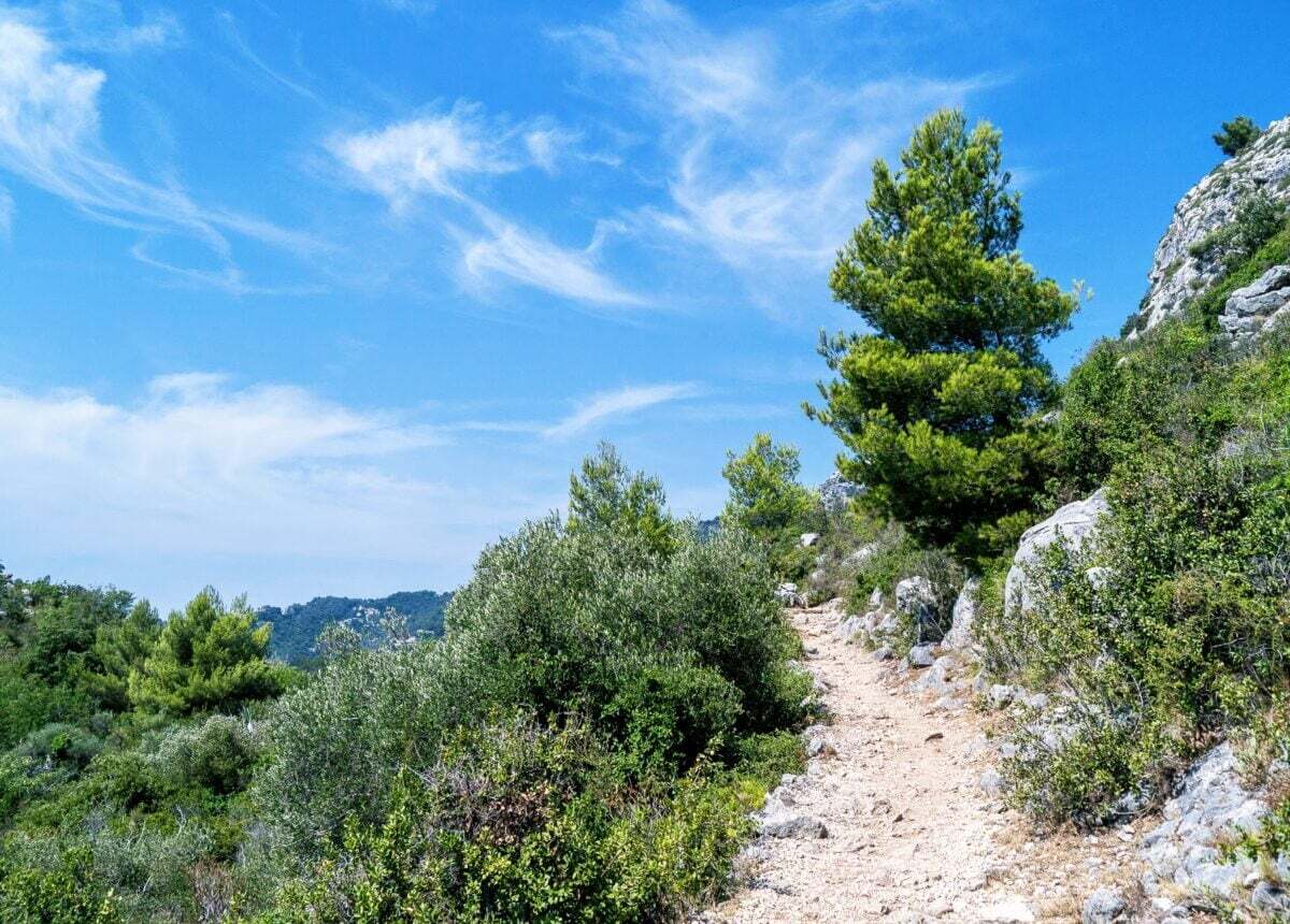 Chemin de Nietzsche.jpg