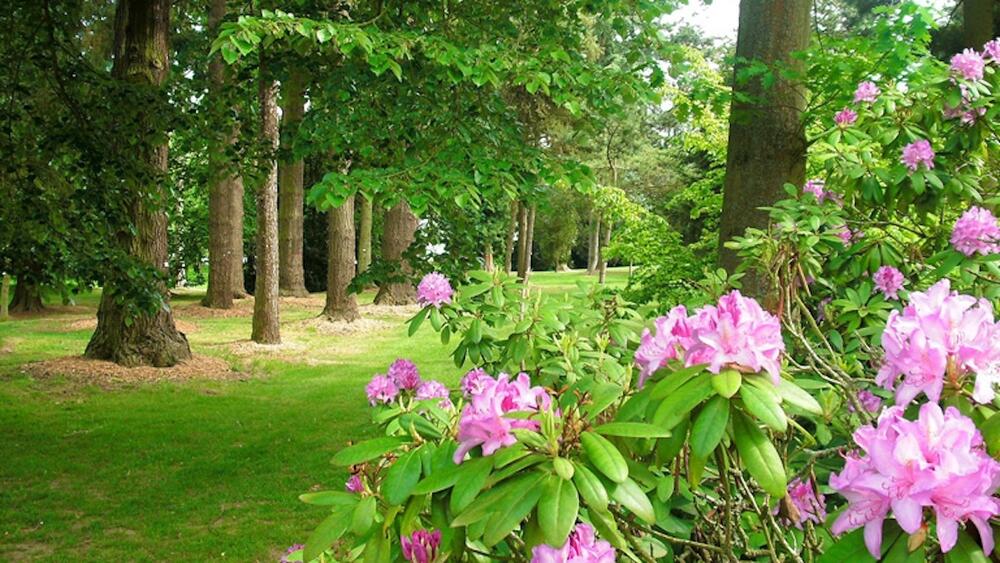 Plus belles randonnées dans l