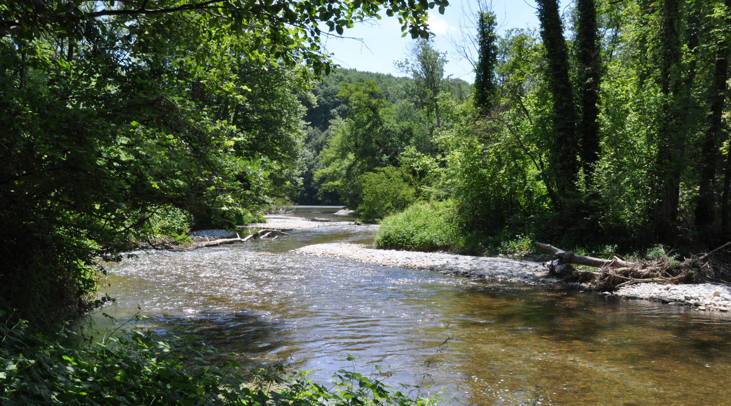 vallon de l'Allondon.jpg