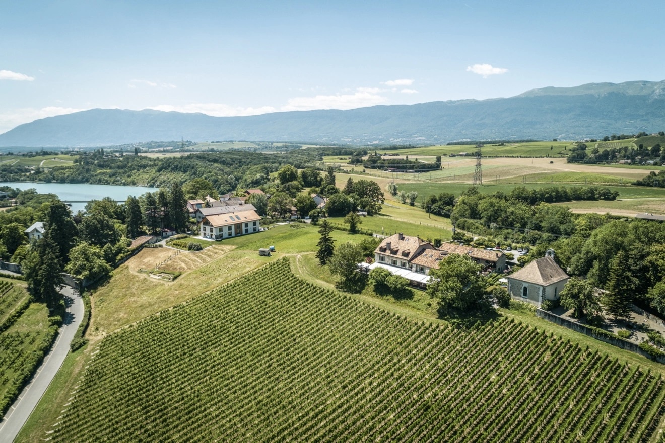 Vignobles Satigny.jpg