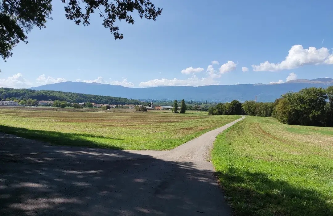 Sentier du Rhone.jpg