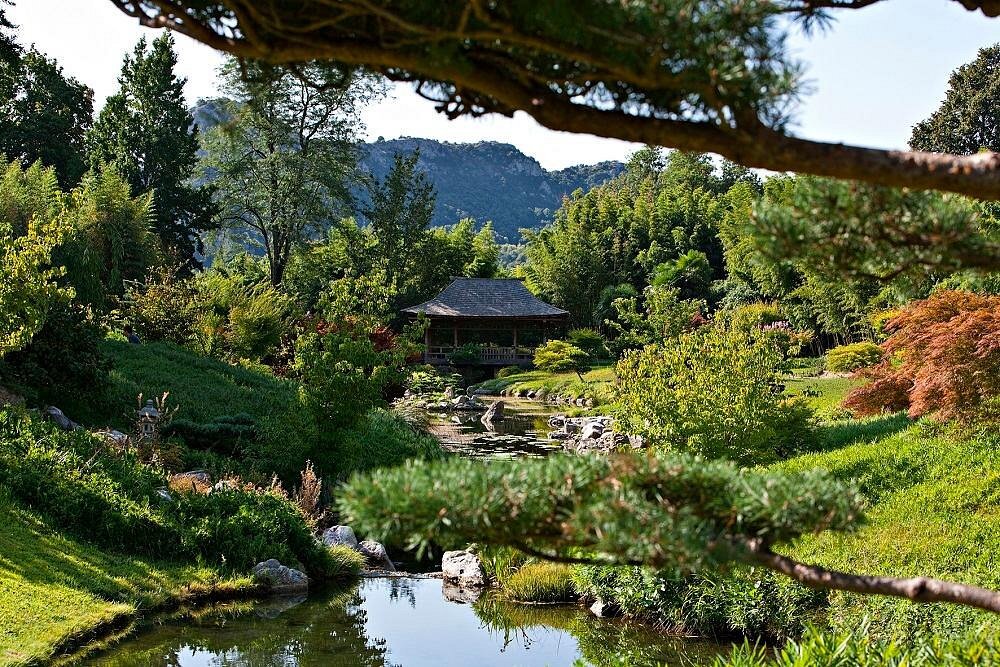 Bambouseraie Anduze.jpg