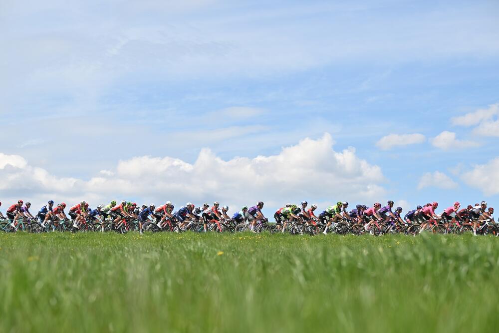 Photo : Organisation