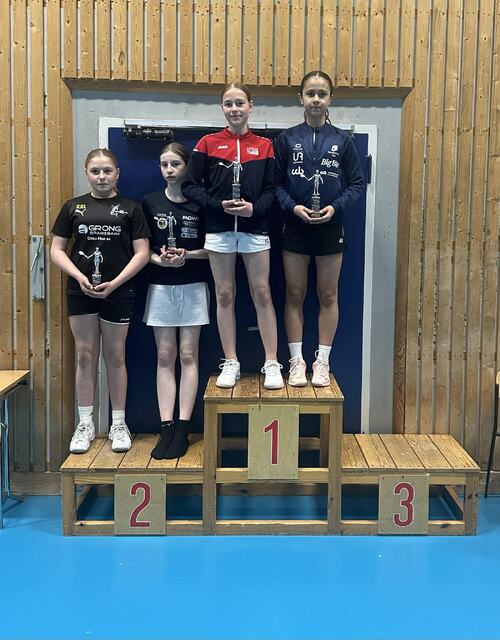 Rankinturnering Trondheim 24