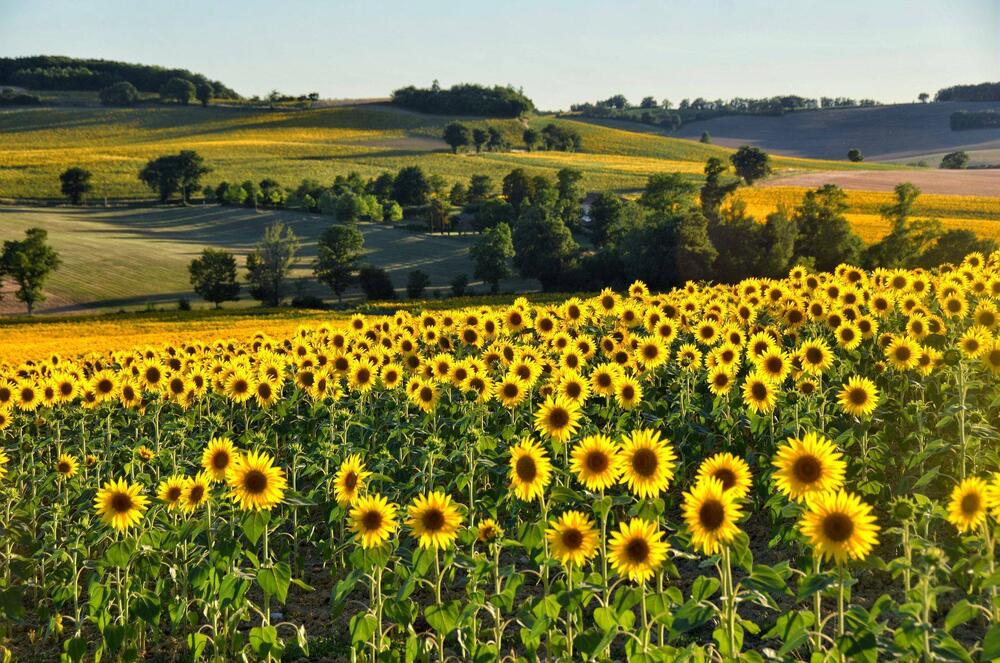 Les plus belles randonnées dans le Gers