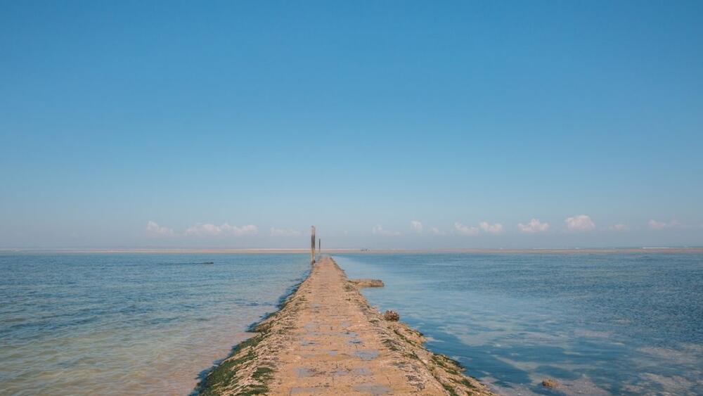 Les 10 plus belles randonnées en Gironde