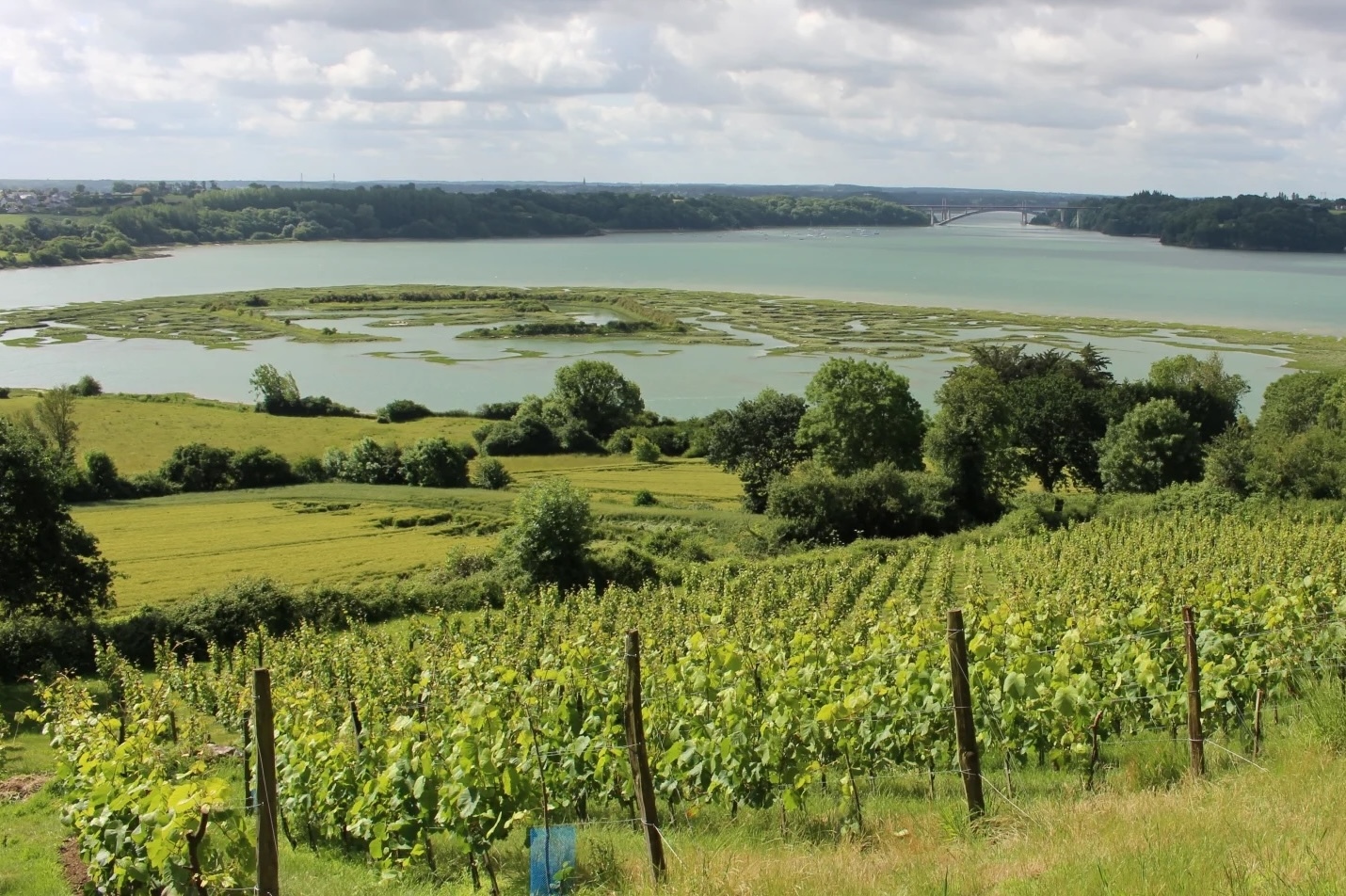 Vallee de la Rance.jpg