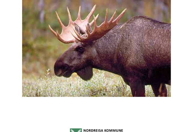 Forvaltningsplan for elg i Nordreisa