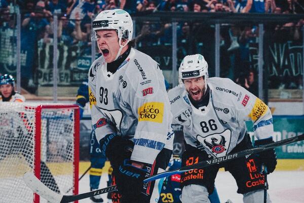 Photo : Organisation