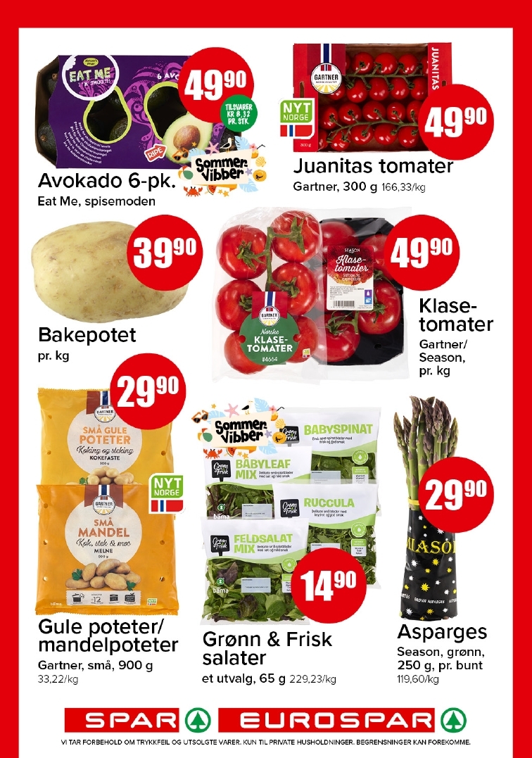 Spar 19-4.jpg