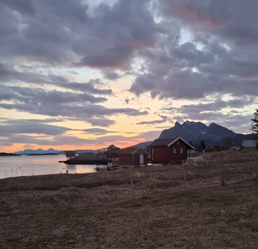 Morgenstund. (Foto: Kirsti Karlsen)