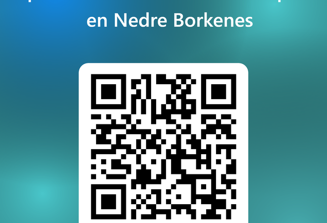 QRCode for Spørreundersøkelse sentrumsplanen Nedre Borkenes
