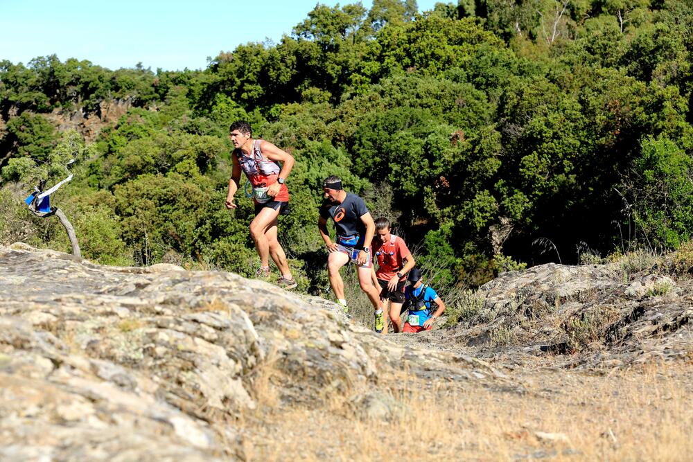 Trail des Maures