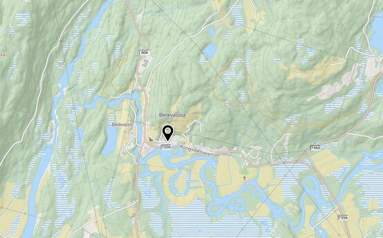 Bleikvassli