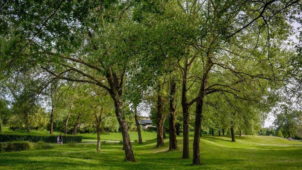 Photo : Ville de Blois Plus belles randonnées dans le Loir et Cher
