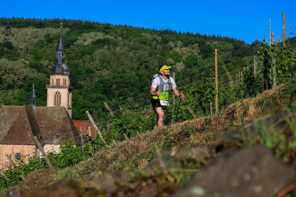 TRAIL ALSACE