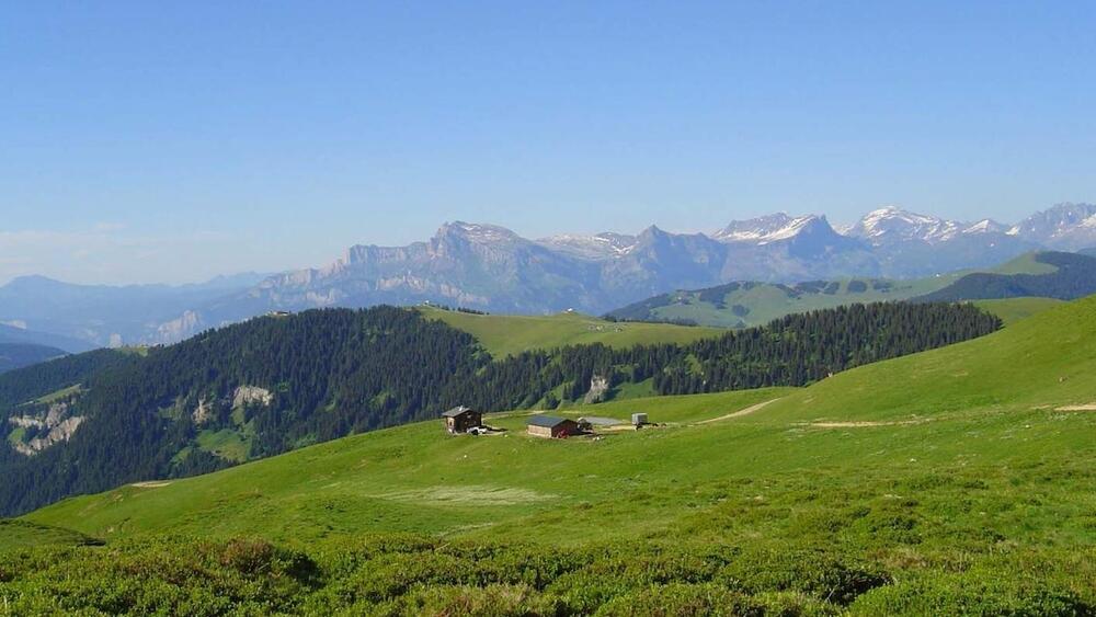 Les Saisies en été