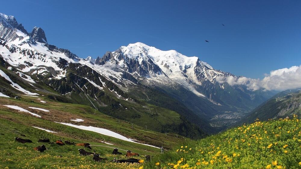 Chamonix en été