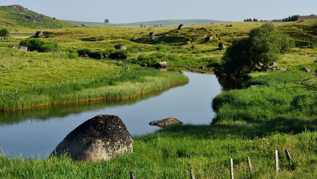 Plateau de Aubrac.jpg