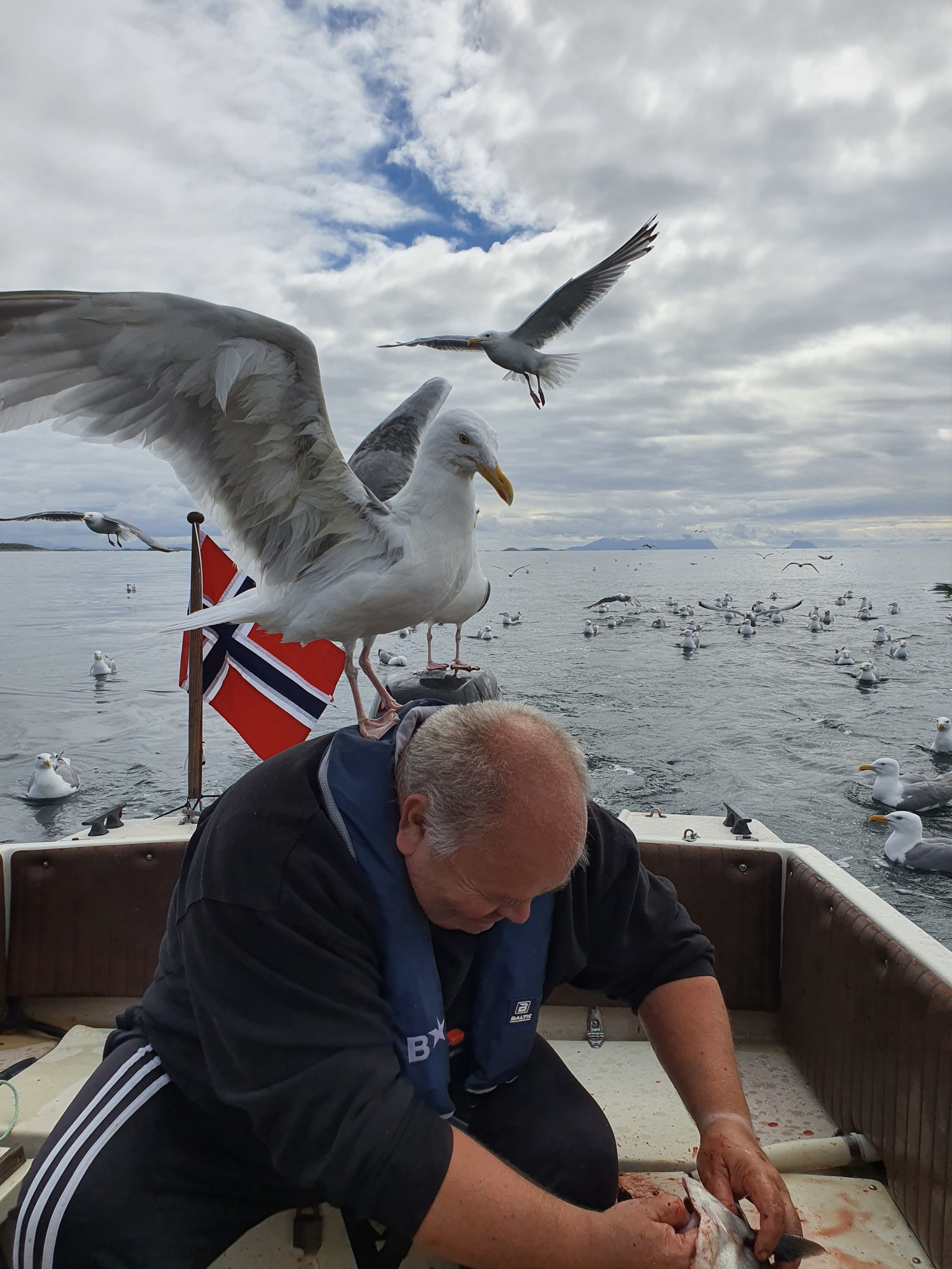Blinkskudd på fisketur med ivrige tilskuere.(Foto: Aileen Thuseth)