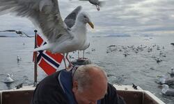 Blinkskudd på fisketur med ivrige tilskuere.(Foto: Aileen Thuseth)