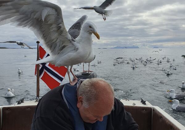 Blinkskudd på fisketur med ivrige tilskuere.(Foto: Aileen Thuseth)