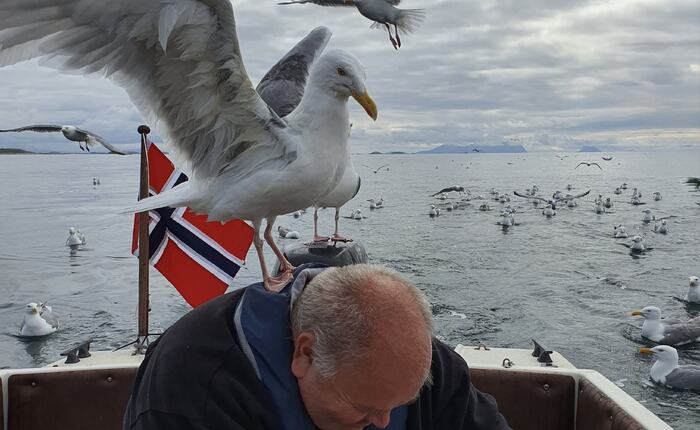 Blinkskudd på fisketur med ivrige tilskuere.(Foto: Aileen Thuseth)