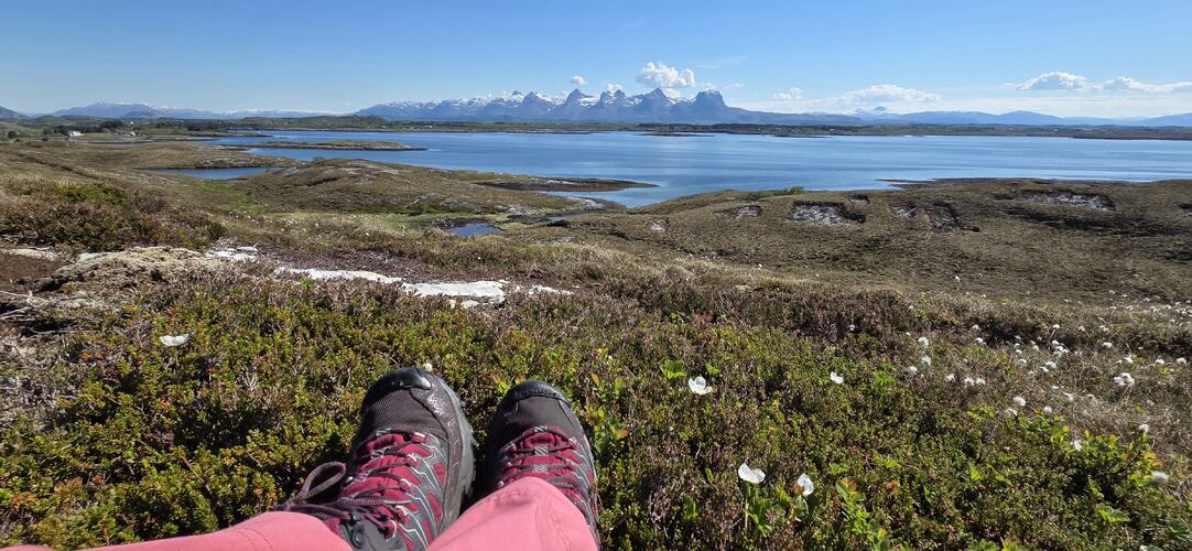 Utsikt fra Gårdsøytangen. (Foto: Rode-Mari Hagen)