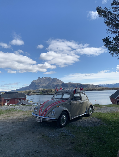 Finnhåjen på Seløy. (Foto: Jens Olsen)