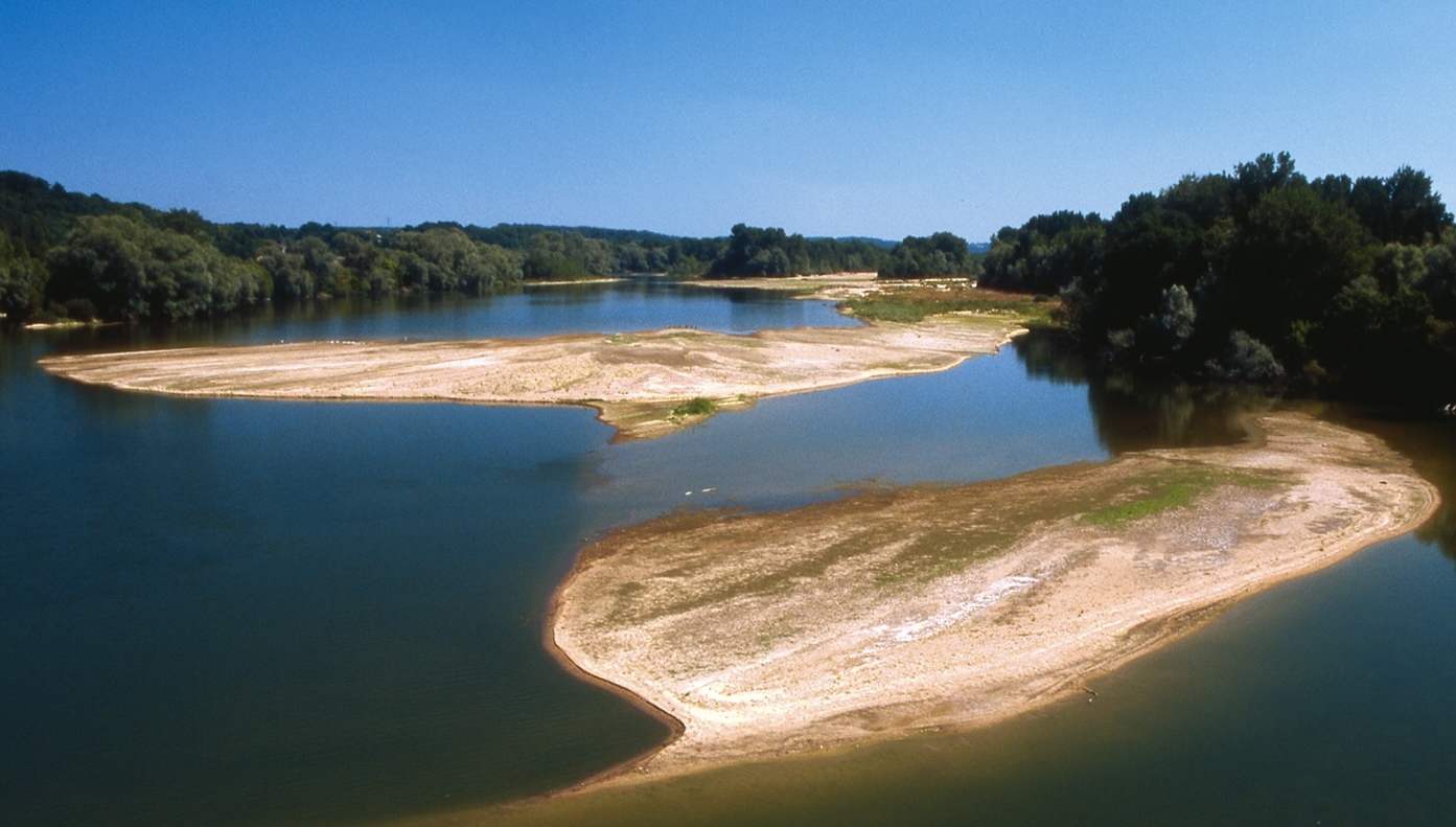 Loire Sauvage.jpg