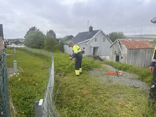 Dugnad på HOS_Bjørn