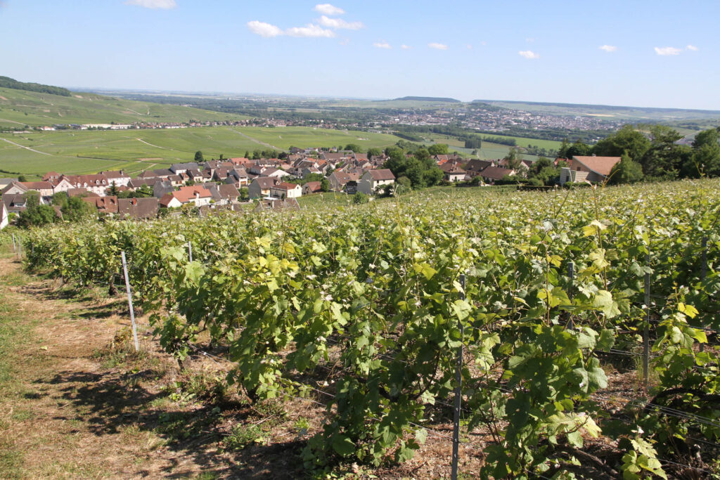 hautvillers-berceau-du-champagne-1024x683.jpg