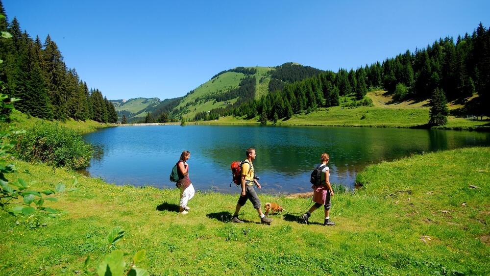 Randonnee Chatel