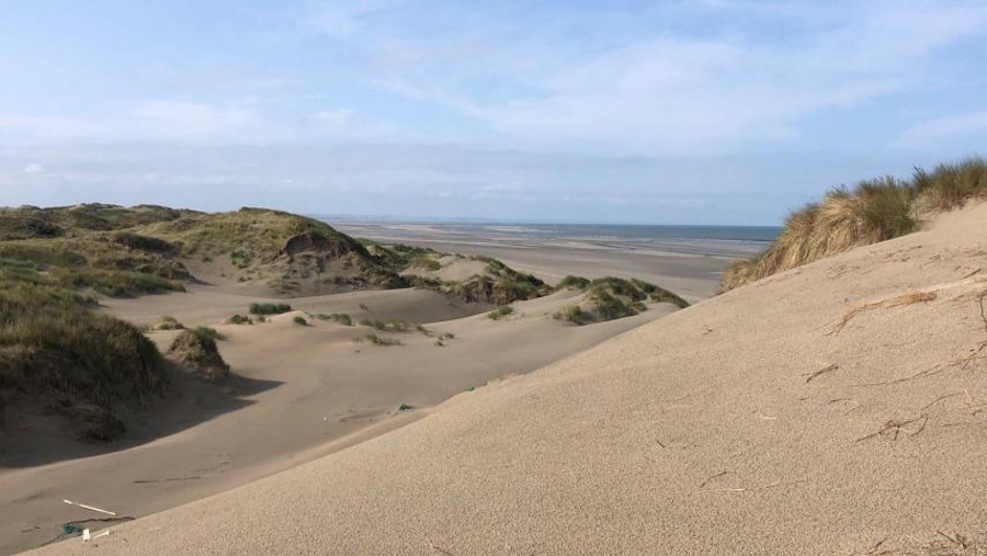 Dunes Marquenterre.jpg