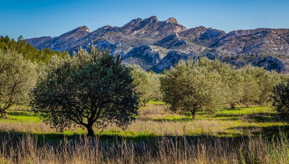 Randonnees Alpilles
