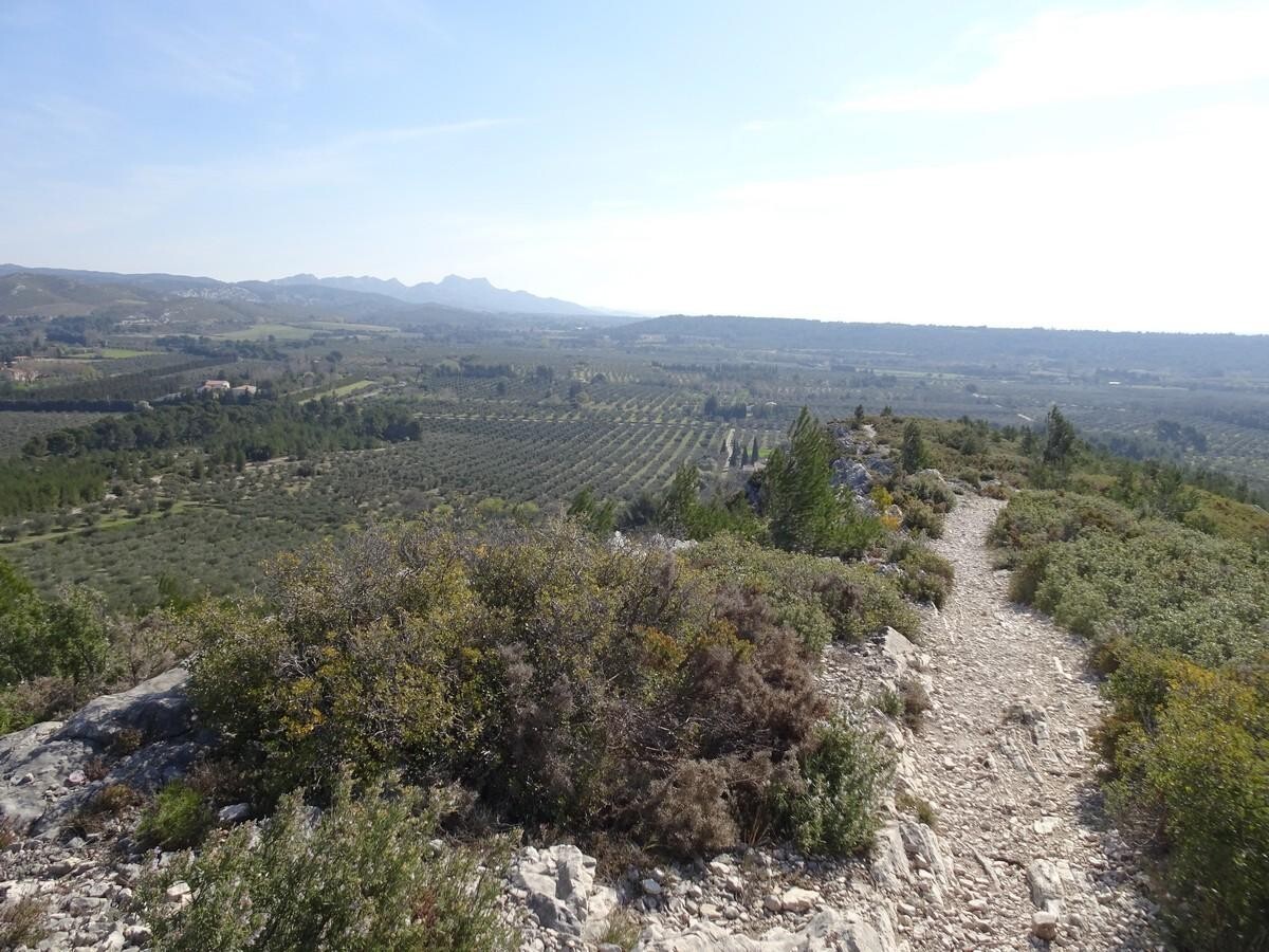 Destet Vallée des Baux.jpg