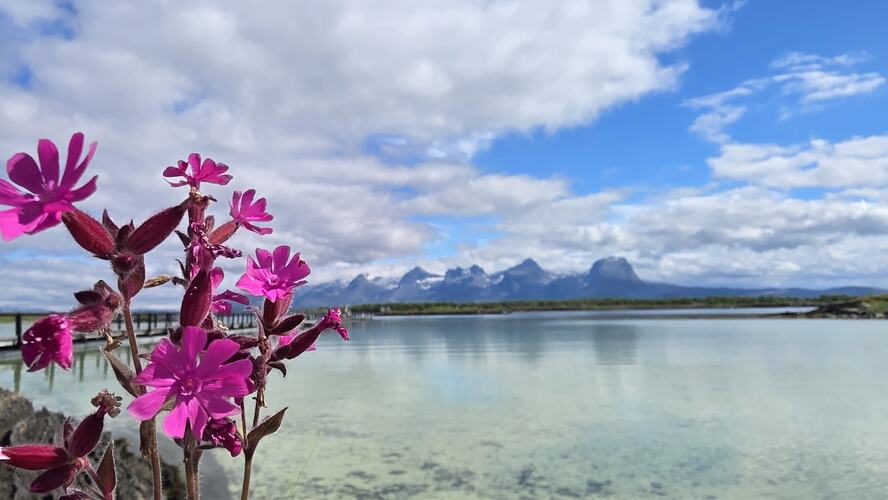 Den berømte Rakelfjæro. (Foto: Sissel Breiland)
