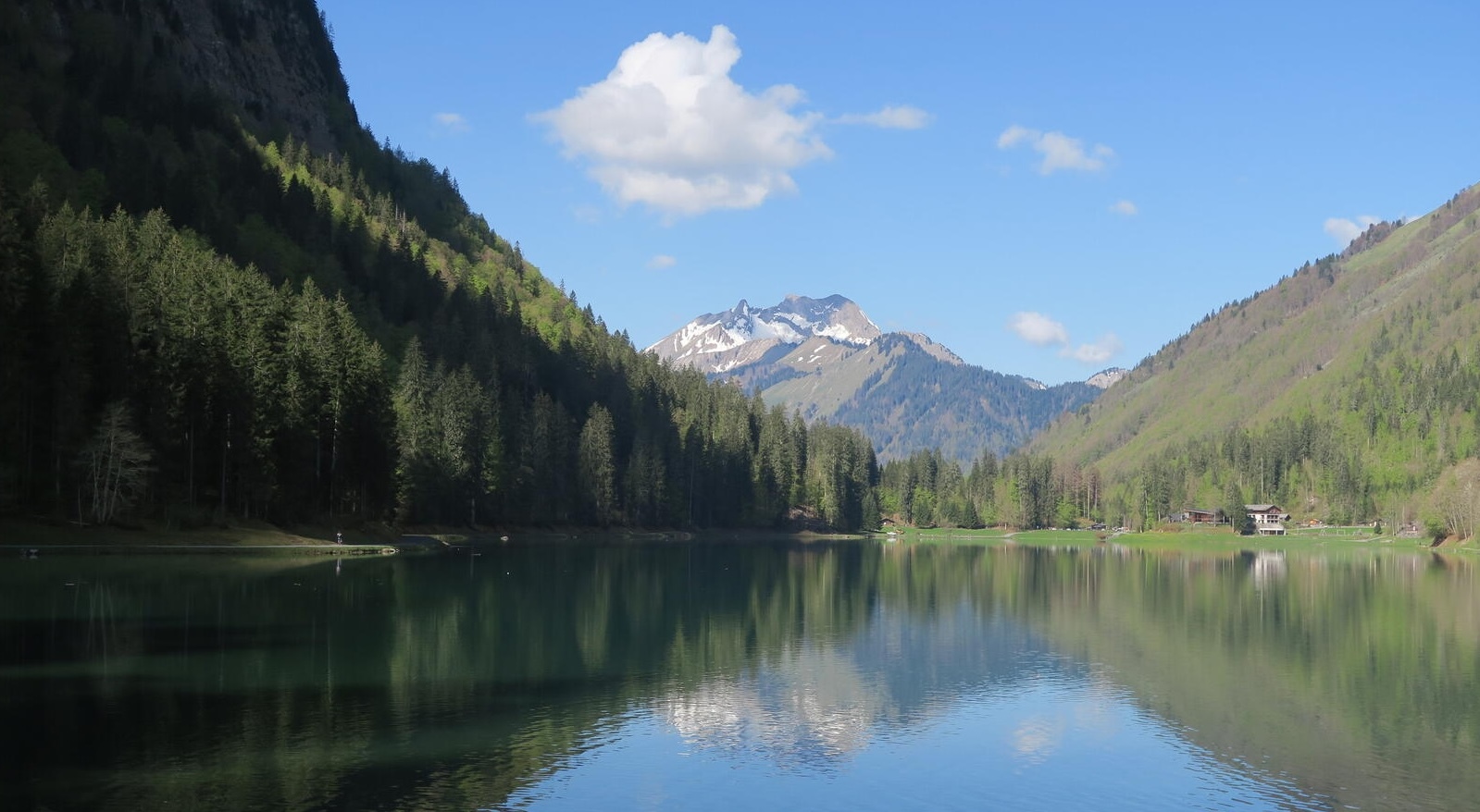 Lac de Montriond.jpg