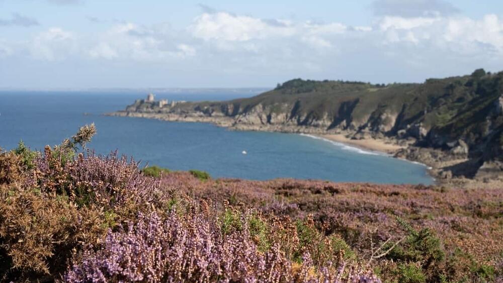 Randonnées au Cap Frehel