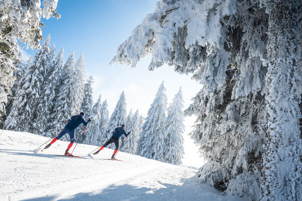 Photo : Vercors Experience